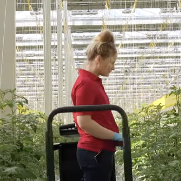 schermafbeelding-2025-12-10-om-20.23.39